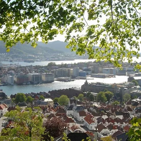 New! Modern Apt: W/ Private Entrence Appartement *