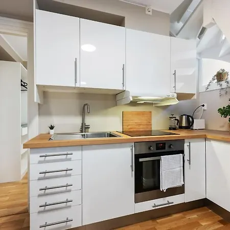 New! Modern Apt: W/ Private Entrence Μπέργκεν